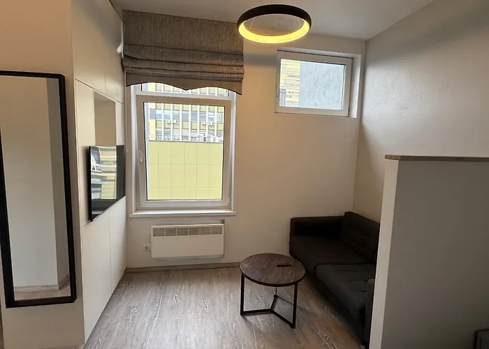 Apartmentsforrent In Vilnius